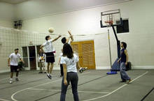 volleyball 236_filtered.jpg 7.3K